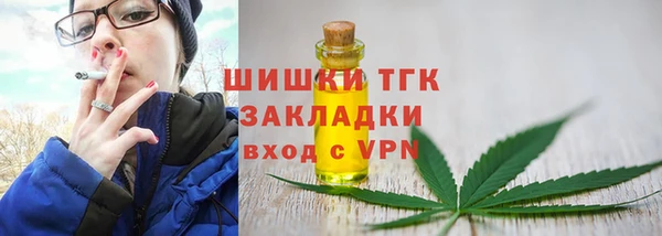 шишки Богданович